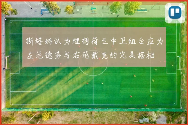 斯塔姆认为理想荷兰中卫组合应为左范德芬与右范戴克的完美搭档